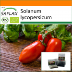 SAFLAX - Aed kotis - Mahe - Tomat - San Marzano - 15 seemet - Substraadiga sobivas p&uuml;stises kotis - Solanum lycopersicum