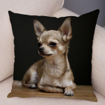 Armas lemmikloomade padjap&uuml;&uuml;r Dekoratiivne armas kutsika chihuahua padjap&uuml;&uuml;r Pehme pl&uuml;&uuml;sist padjap&uuml;&uuml;r autodiivanile koju 45x45cm 45x45cm