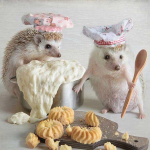 5D DIY Teemantmaaling Ristpistega T&auml;is&uuml;mmargune siil Chef Cookie Teemanttikandid Kodukaunistus Full Round 20x20CM