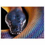 Teemantmaaling Madu ristpistes Teemantmosaiik k&auml;sit&ouml;&ouml; t&auml;isring puur Teemanttikandid Full Round 20x30CM