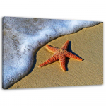 L&otilde;uenditr&uuml;kk Starfish Beach Sand 60x40 beež