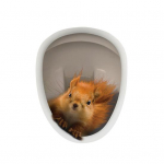 Tualettruumi kaane kleebis Tugev kleepuv PVC veekindel eemaldatav naljakas 3D orava loomakleebis seinakleebis 20*25cm