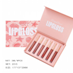 Dragon Ranee 6 huulel&auml;ige sobib vedelale huulepulgakarbile matttassiga Nude udu huuleglasuuriga kinkekarp 6pcs