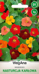 Dwarf Nasturtium low color mix 5g Nasturtium seemned - WegAna
