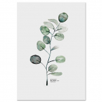 P&otilde;hjamaade stiilis akvarelltaimed, lehed l&otilde;uend plakatid, Skandinaavia seinakunst Maalimine Dekoratsioon Pildid Minimalistlik kodukaunistus 21x30cm No Framed
