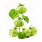 100 rohelist tomatillo seemet &ndash; poolmetsik permakultuur