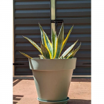 Bac &agrave; fleurs rond RIVIERA SOLEILLA - Plastique - Diam&egrave;tre 50 cm - Vert argile
