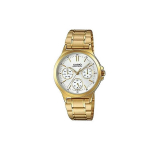 CASIO Naiste Standardseeria Kuldne Kell LTP-V300G-7AUDF Gold Strap