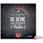 Les Tr&eacute;sors De Lily [P2970] - Toile ardoise 'Citations' noir ('Il n'y a point de g&eacute;nie un un grain de Folie - Aristote') - 28x28 cm must