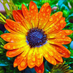 T&auml;ielik 5D-teemantmaaling koomiksite lilledega teemanttikandid ristpistes kodukaunistus k&auml;sitsi valmistatud kingitus 30x30cm