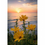 Teemanttikandid p&auml;ikeseloojangu lill 5D DIY Teemantmaal Teemantmosaiikpildid Kodukaunistus 20X30CM