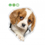 Multikas lemmikloomasimulatsioon 3D l&otilde;bus kutsika seinakleebised k&uuml;lmkapp tualett auto meisterdamise kaunistus 1Pcs