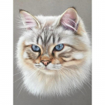 DIY Teemantmaal Ristpistes T&auml;ispuuritud Teemanttikandid Uus saabumine Rhinestone Mosaiic Kodu seinakaunistus 15x20CM