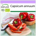 SAFLAX &ndash; Orgaaniline &ndash; Paprika &ndash; California Wonder Red &ndash; 20 seemet &ndash; Capsicum annuum