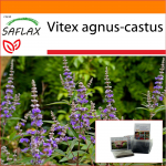 SAFLAX - Aed kotis - Mungapaprika - 30 seemet - Substraadiga sobivas p&uuml;stijas kotis - Vitex agnus-castus
