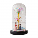 Klaasroosi lill LED valgusroos klaasis Forever roosi lill kingitus naiste emadep&auml;evaks Type 3