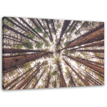 L&otilde;uenditr&uuml;kk Pine Nature Forest Green 60x40 pruun