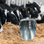 Metal feed Scoop with Handle Thicken Heavy Duty for Livestock Gardening Feeding