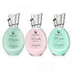 Ramsons - U R LOVELY, U R SWEET & U R AWESOME Eau de Parfum Combo Pack of | 30 ML x 3| Perfume For Women