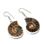 Ammonite Fossil Handmade 925 Sterling Silver Gift Jewelry Earring 1.81 e8f00