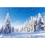 Talvine M&auml;nnimets M&auml;gi Lumi Taevas L&otilde;uendimaal Looduslik Maastik Foto Taust Prinditavad Plakatid Fotostuudio Kodu Ruumi Dekoratsioon 12X16inch 30x40cm