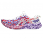 ASICS Noosa TRI 16 Valge Edo Lilla Meeste Tennised 1011B872-101 41.5