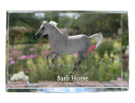 Barb Horse - crystal with a picture of a horse, photo in glass, modern exhibition of Art-Dog brand photo puhas