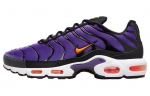Nike Air Max Plus OG Voltage Purple 2024 DX0755-500 38.5