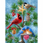 5D Teemantmaal Ristpistes T&auml;is&uuml;mmargune teemanttikandid Rhinestones maalimine 20X30CM