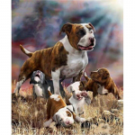 Teemantmaaling Pit Bull Terjer Koer t&auml;ispuur Rhinestone Tikandid Pildid K&ouml;&ouml;k Kunst K&auml;sit&ouml;&ouml; 20X30CM