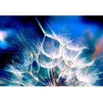 N&auml;put&ouml;&ouml; T&auml;ielik teemanttikandid Teemantmaaling V&otilde;ilill Stitch Cross 20X30CM