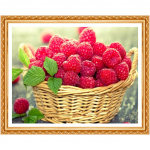 Teemanttikandid Fruit 5D DIY T&auml;ielik teemantmaal ristpistes pildid rhinestones kodukaunistus 20X30CM