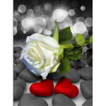 Teemantkunsti komplektid Must Punane Roos Teemantmaalid Tikandid M&uuml;&uuml;k Rhinestones lillepildid Mosaiikkaunistus koduks Full Round 20X30CM punane