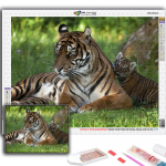 Teemantmaaling Loomade tiigri teemantmosaiik k&auml;sit&ouml;&ouml; teemanttikandid Full Round 20X30CM