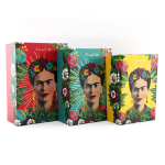 Frida Kahlo [A2902] &ndash; 3 kirjust Frida Kahlo suveniirikarbist koosnev komplekt &ndash; 30x22x11 cm mitmev&auml;rviline