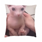 Naljakad Binguse padjakatted elutoa diivani kaunistus 3D-print Sfinksi kassi meem diivanipadja kate kahepoolne 30x30cm 12x12in