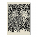 Abstraktne Bauhaus Line l&otilde;uendimaal Must Eye Leopard Kaasaegne p&otilde;hjamaade seinakunst Plakatid ja v&auml;ljatr&uuml;kid elutoa sisekujunduseks 50x70cm No Frame