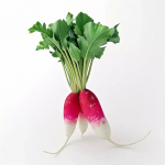 300 poolpikka redise seemet