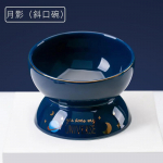 Creative Starry Sky seeria keraamiline kassikauss kassitoidukauss koerakauss joogikauss lemmikloomatoidukauss Star ceramic bowl