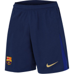 Nike Dri-FIT Barcelona Jalgpalliklubi 2024/25 Koduv&auml;rvi Logo Tikitud Niiskust Eemale Juhtivad Mugavad &Uuml;hev&auml;rvilised Jalgpalli P&uuml;ksid Meestele Alaosad FZ4691-410 L
