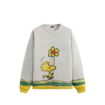 Kith For Peanuts Woodstocki koomiks Nelson Crewneck Kriiditooni Meeste Topid Hall KHM033379-410 L