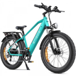 V&eacute;lo &eacute;lectrique ENGWE E26 - Autonomie 140 kilom&egrave;tres - Moteur 250 W - Batterie 48 V 16 Ah - Vert roheline