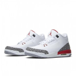 Air Jordan Air Jordan 3 Retro GS Hall of Fame AJ3 398614-116 EU 36 mitmev&auml;rviline