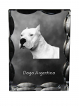 Dogo Argentino - kristall koera pildiga, klaasist kujuke pildiga, ainulaadne raam pildiga Art-Dog kaubam&auml;rgilt puhas