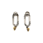 Alexander McQueen kolju ripatsiga k&otilde;rvar&otilde;ngad Meeste k&otilde;rvar&otilde;ngad H&otilde;be 688375-J160Z-1336 Silver,F