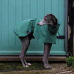 Veekindel Tuulekindel Koera Vihmajakk, Hingav T&auml;iskeha Katvus Kuiv &Uuml;likond, Lemmiklooma Vihmamantel Poncho Whippetile Greyhoundile Back 36cm roheline