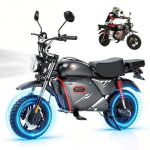 Elektriline jalgratas SD-V9 - 15 rattad - 2000W 48V 20Ah elektriline fat bike - 4 kiirust 55km/h - S&otilde;iduulatus 90km - Hoiukast