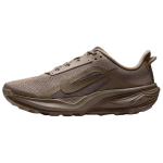 Nike ACG PEGASUS TRAIL Jooksusaapad Naiste Madalad Pruunid HV8121-201 36 pruun