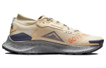 Nike Pegasus Trail 3 Veekindel Toetav Madal L&otilde;ikega Maastikujooksukingad Meeste Rotangikollane DC8793-200 44.5 black