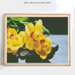 Teemantmaal &uuml;mmarguste kividega lillede pildid rhinestones teemanttikanditest 20X30